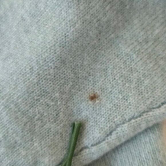 Peck & Peck Womens Wool Cashmere Hooded Open Front Cardigan Aqua Size Medium - Picture 12 of 13